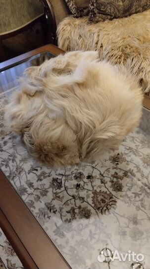 Мужская шапка-ушанка из натурального меха, 56-57 р