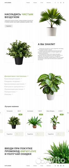 Создание сайтов на Tilda, веб-дизайнер