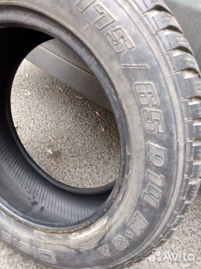 Gislaved Nord Frost III 175/65 R14 86T