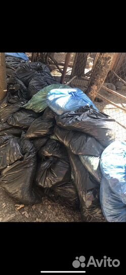 Все что отдают бесплатно