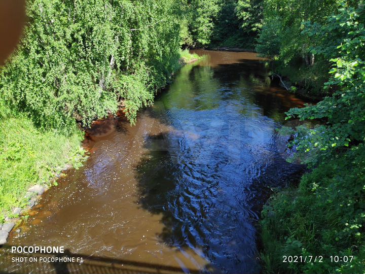 Участок 80 сот. (СНТ, ДНП)