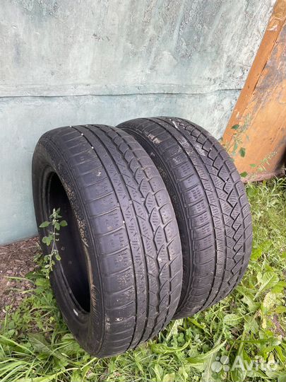 Continental ContiWinterContact TS 790 205/60 R16