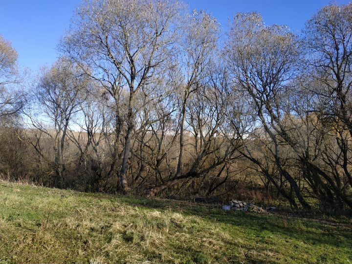 Участок 23,1 сот. (ИЖС)