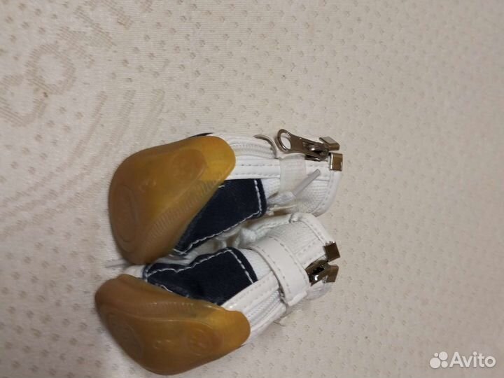 Кеды для собак, 3-его размера