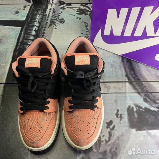 Кроссовки Nike Dunk Low Pro SB Fish Ladder