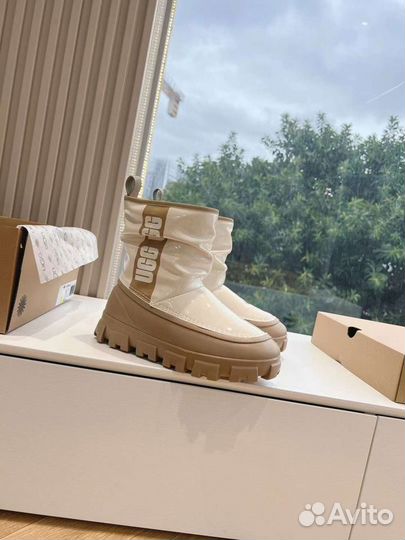 Ботинки сапоги ugg Australia новинка