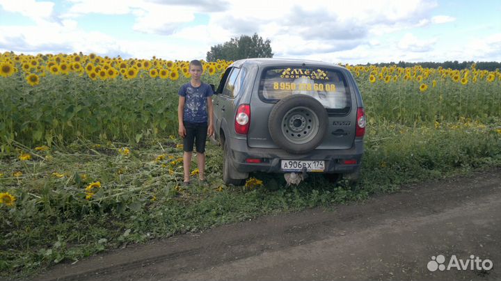 Мёд Маточное молочко Перга Прополис