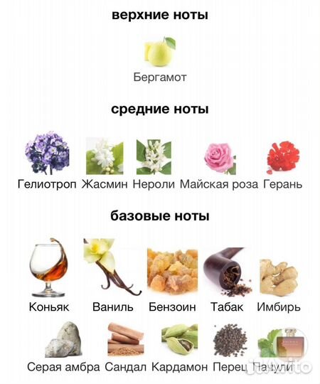 Enigma Pour Homme Parfum Cologne Roja Dove