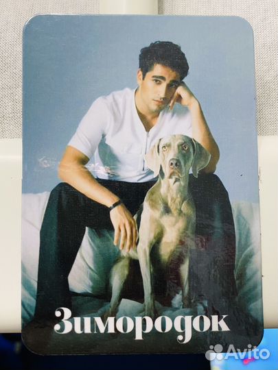 Магниты по сериалу Зимородок