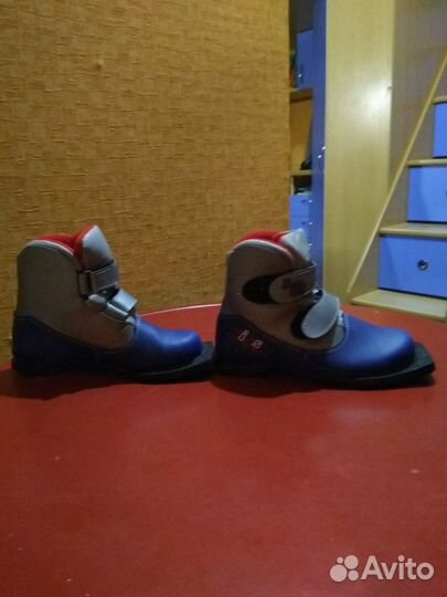 Ботинки для лыж