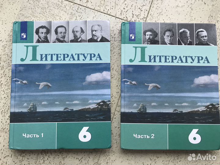 Учебник Литература 6 класс 2 части