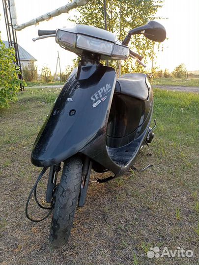 Suzuki sepia