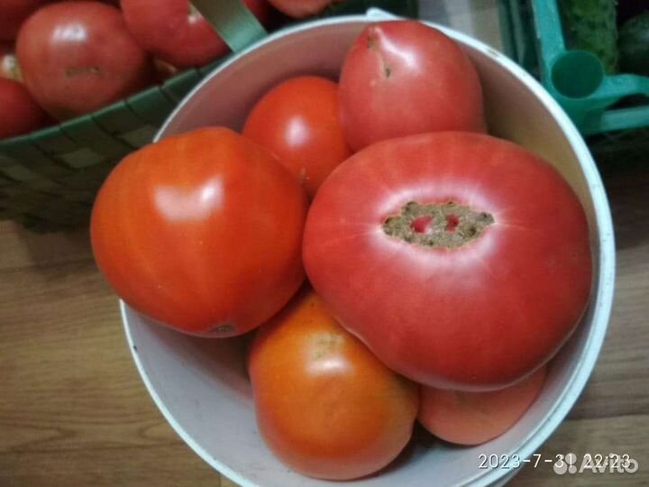 Помидоры, огурцы