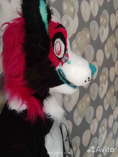 Фурсьют гиены