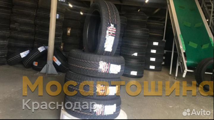 Arivo Winmaster ProX ARW3 185/55 R16 83H