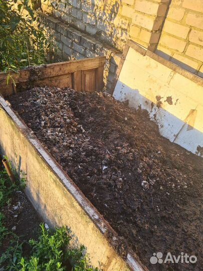 Куриный помет