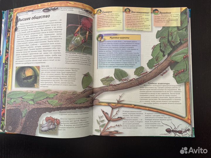 Большая детская энциклопедия