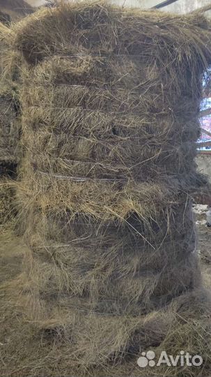 Сено в рулонах