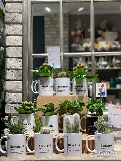 Именные кружки с кактусами