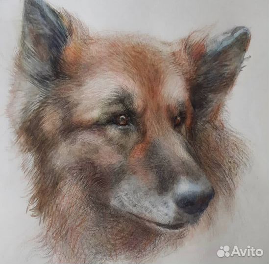 Портрет животных на заказ