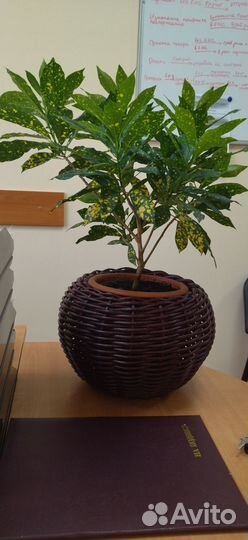 Кашпо 5 литров из искусственного ротанга