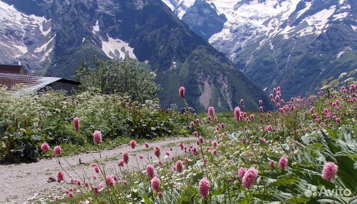 Экскурсии на джипах