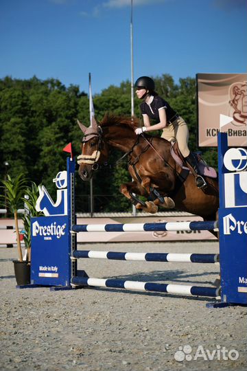 Тренер по конному спорту