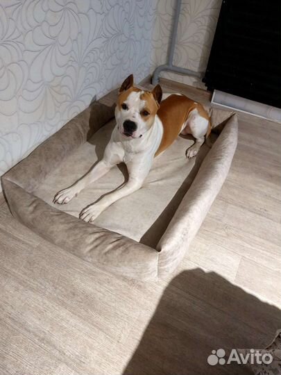 Лежанка для собак