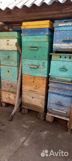 Улей для пчел бу