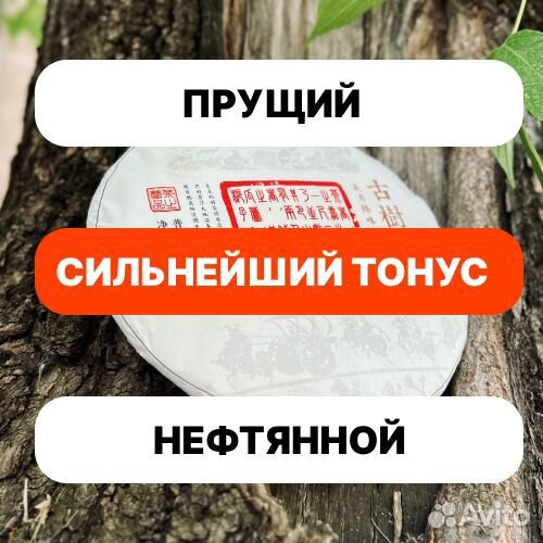 Китайский чай Шу Пуэр Гушу Юн Мин Цзинь Я