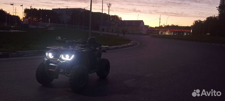 Avantis hanter 200 new lux