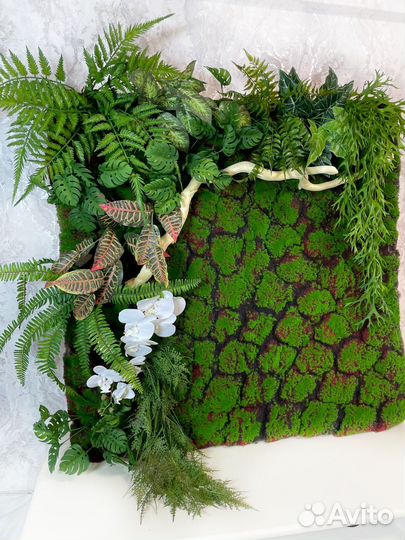 Фитокартины озеленение интерьера