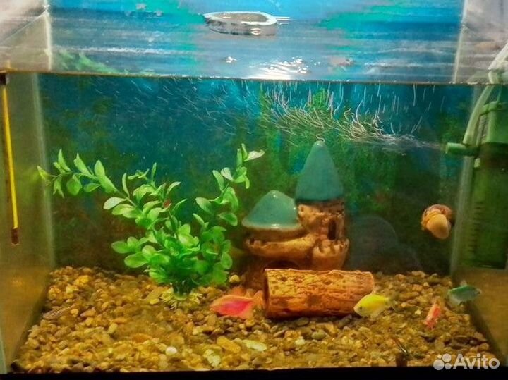 Аквариум с рыбками