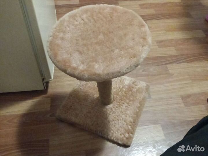 Когтеточка для кошек