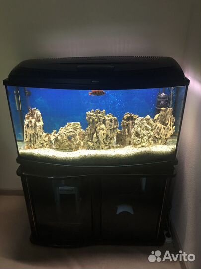 Аквариум Aquael 150 литров