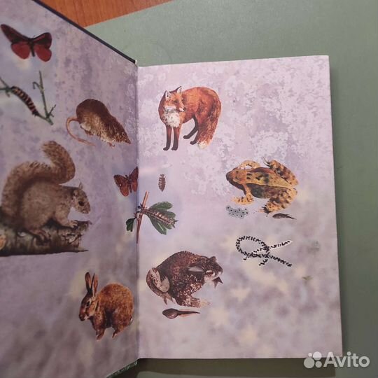 Диана Шипп. Природа и мы. 64с 2001