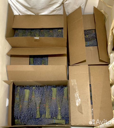 Букет из Лаванды