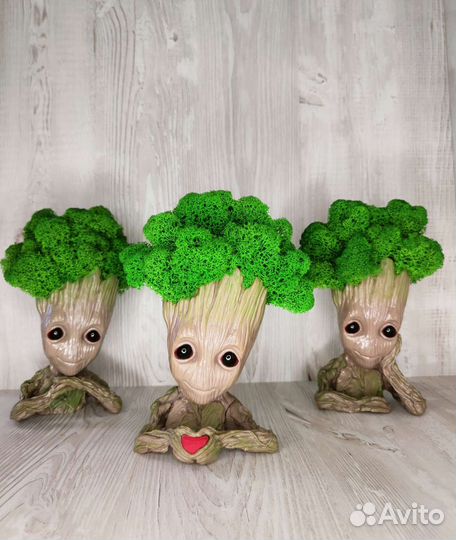 Кашпо, декорированные мхом