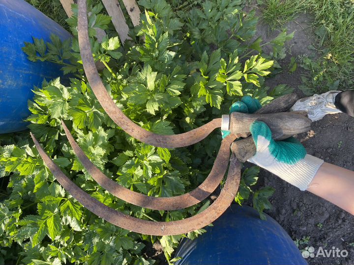 Серп старинный инструмент