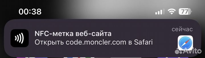 Поло Moncler оригинал