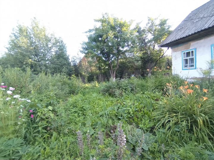 Дом 35,6 м² на участке 12 сот.