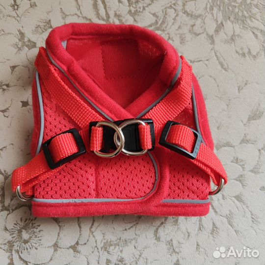 Шлейка и ошейник для щенка мелких пород