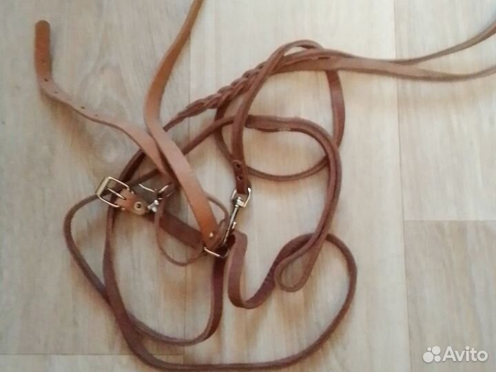 Поводок для всех