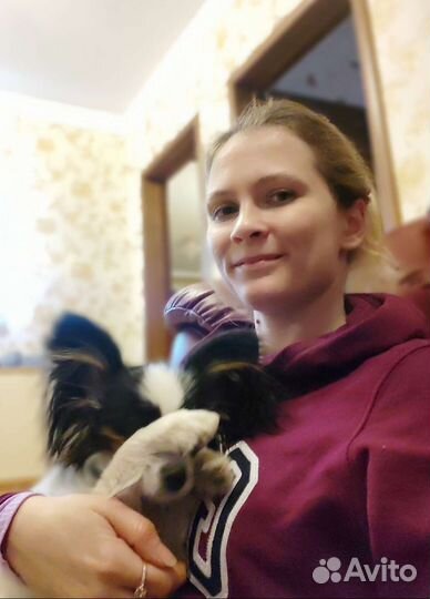 Выгульщик/зооняня р-н Новокуркино.Зоотакси