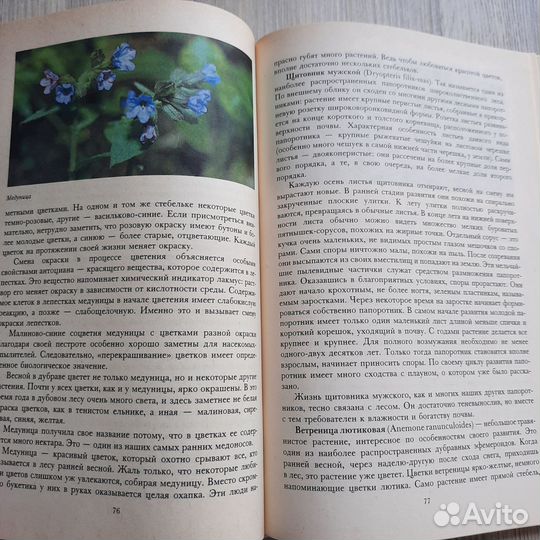 Растительный мир нашей родины. Петров. 1991 г
