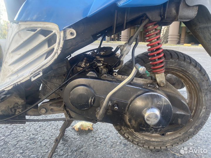 Сузуки сепиа