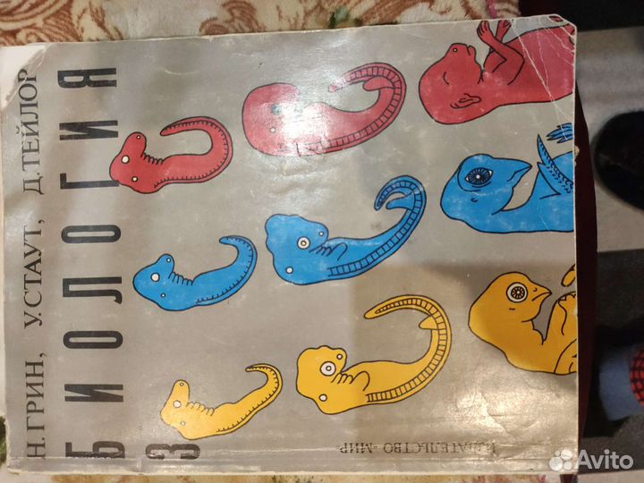 Биология грин стаут тейлор