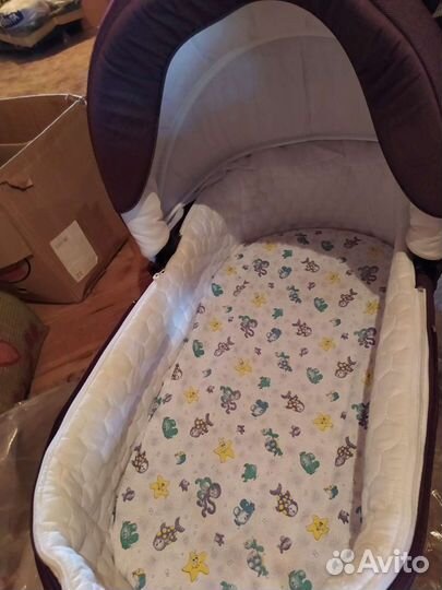 Коляска Adamex Luciano 2 в 1