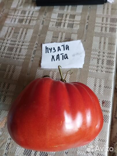 Семена томатов