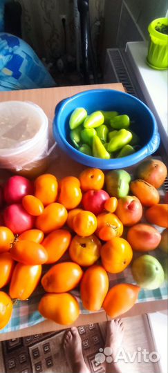 Томаты домашние свежие